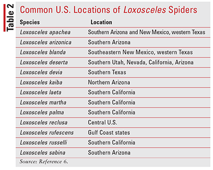 Spider Bites - Injuries; Poisoning - Merck Manuals Professional