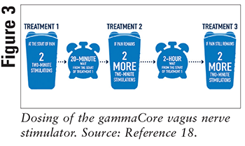 gammaCore®, the First Non-Invasive Vagus Nerve Stimulator Applied